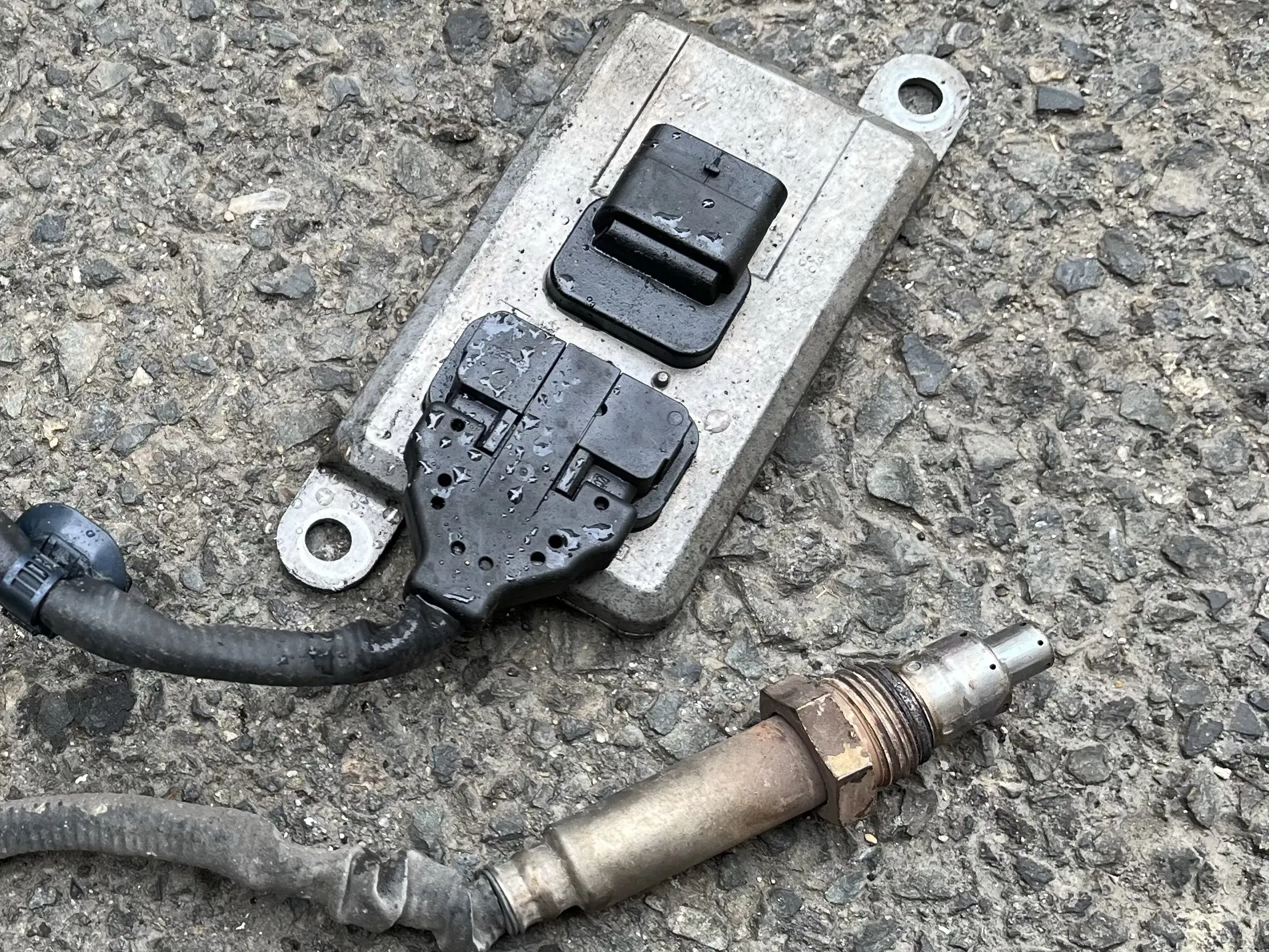 雪ノ下　確認用 img_0560.jpg.webp