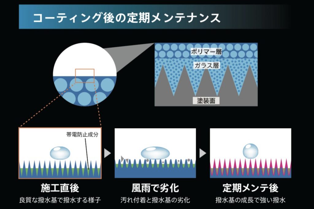 購入前に知るべき注意ポイント