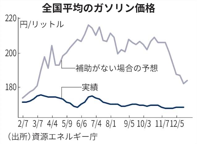 補助金の終了と価格乱高下の恐れ