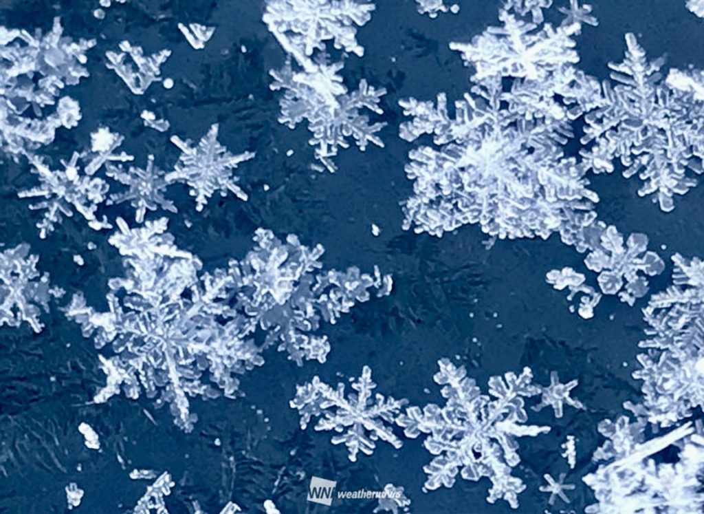 冬場のヤリスの給油口凍結への対策